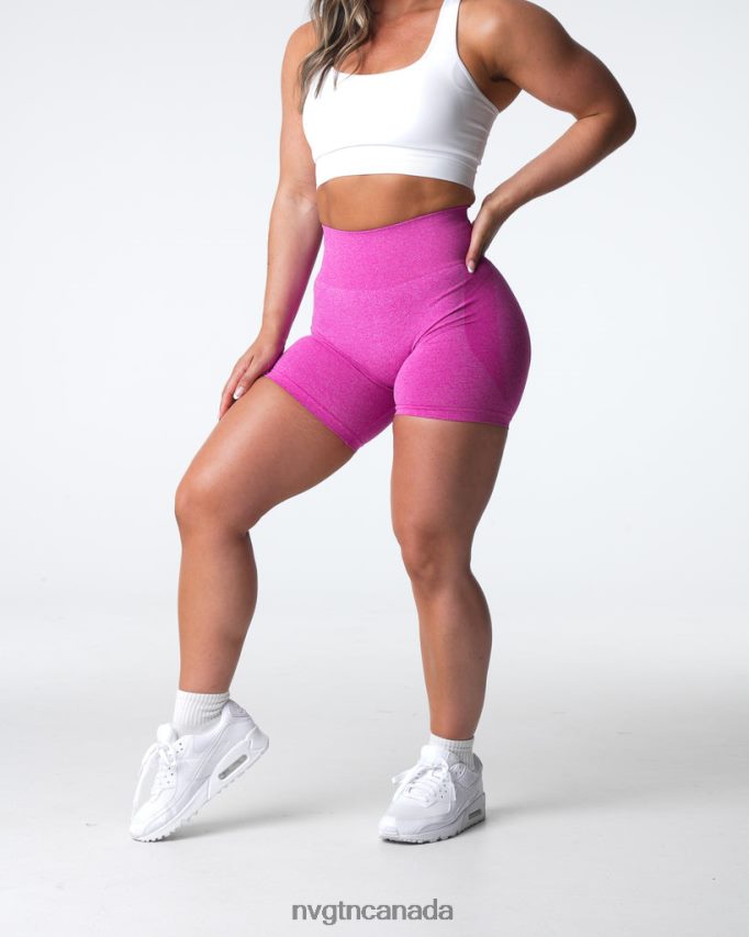 NVGTN Fitness Women Contour Seamless Shorts Maui HJXFTJ334